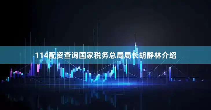 114配资查询国家税务总局局长胡静林介绍