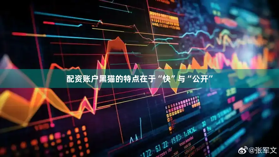 配资账户黑猫的特点在于“快”与“公开”