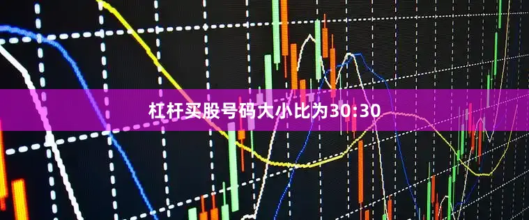 杠杆买股号码大小比为30:30
